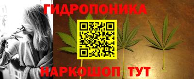 амф Гусь-Хрустальный