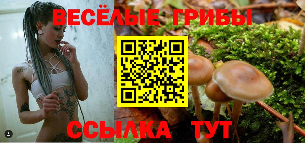 Псилоцибиновые грибы прущие грибы Ликино-Дулёво